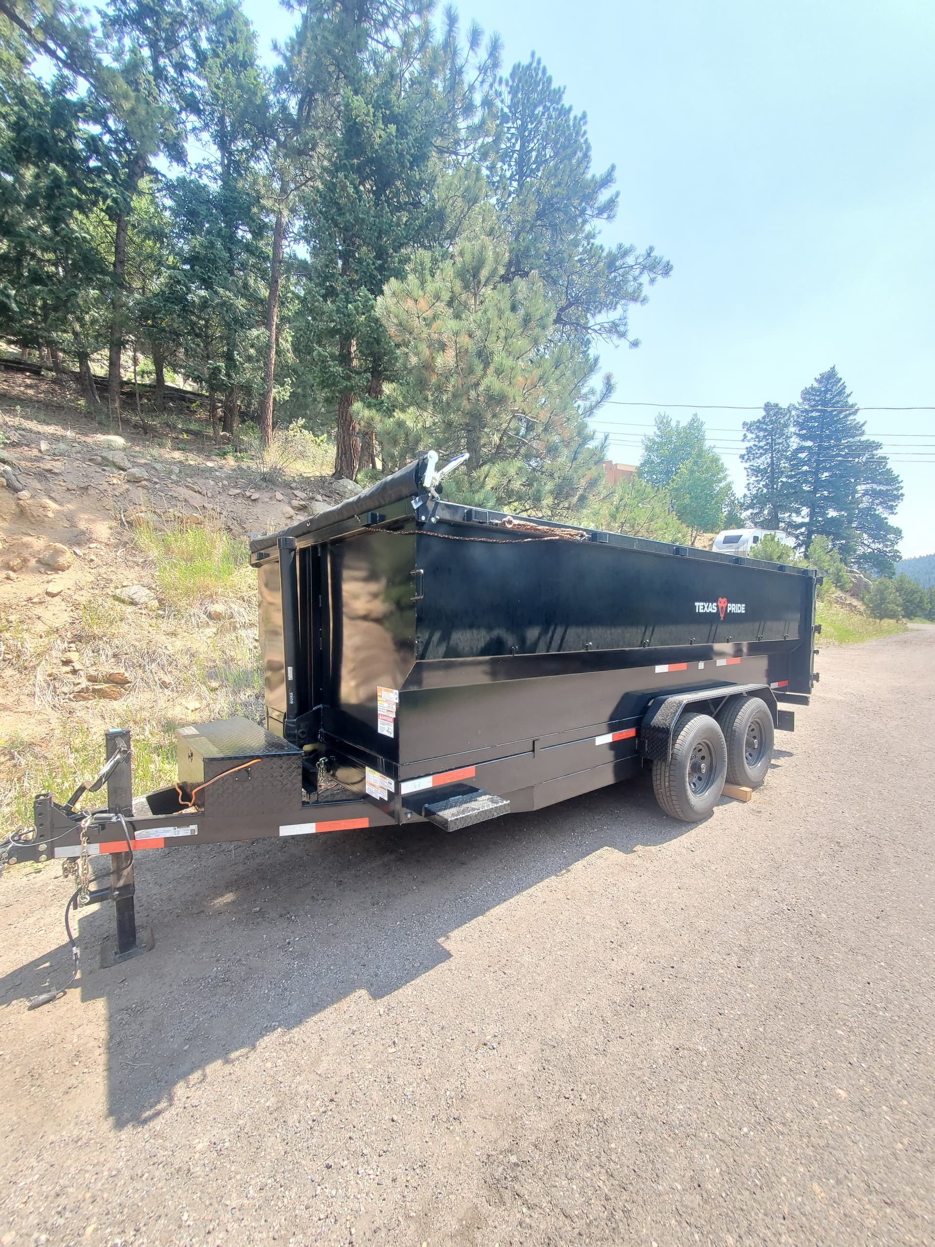 Dump Service